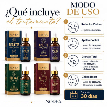 Paquete 03 Transformación Total NOREA modo de uso